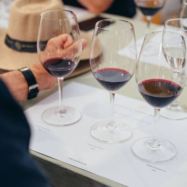 WINE TASTING IN PORTUGAL